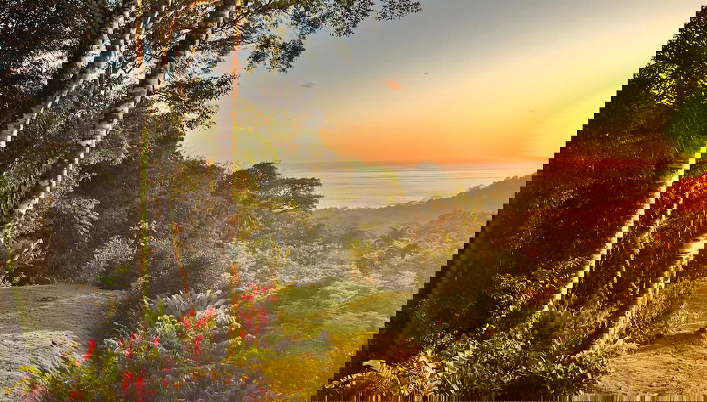 Luxury Jungle Haven Ocean View Infinity Pool - Foto 1, Habitación