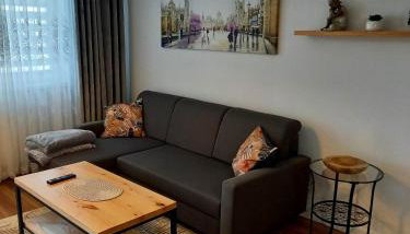 Apartament Green Park 2 - Foto 4