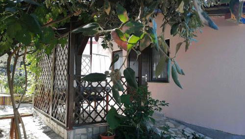 Studio apartman Lorena - Foto 2