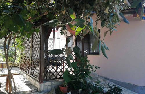 Studio apartman Lorena - Photo 2