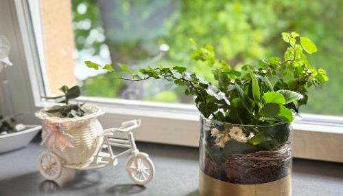 FerienNest Traunreut - Photo 4, Other