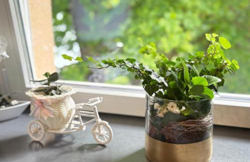 FerienNest Traunreut - Photo 4