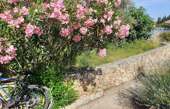 Rustic House Miketa - Family Summertime - Foto 36