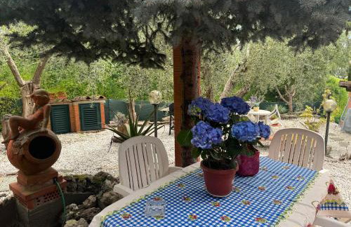 Agrihome di Alberto Giuseppe Gulotta B&B Bella Vista Chalet La Vista - Foto 43
