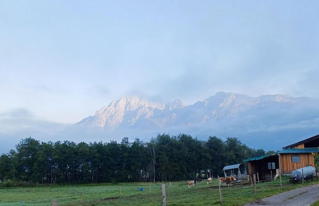 Apartment in Saalfelden Near Ski Slopes - Foto 42