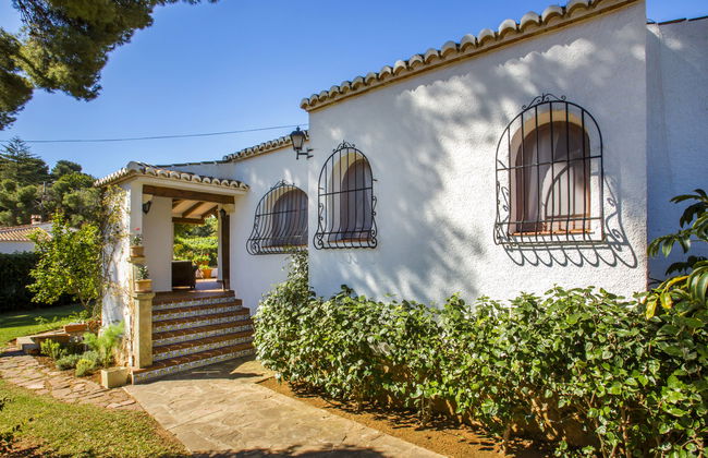 Mirlo Canta - Foto 33