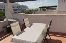 Condado de alhama, naranjos 8 - Foto 10