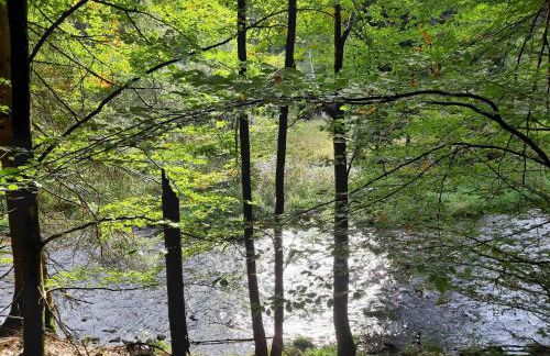 Ferienwohnung Bärnbachl - Foto 17