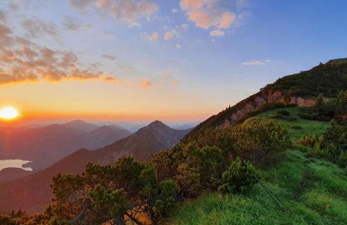 Neu - Ferienhaus Moritz & Josie zur Alleinnutzung - Foto 78