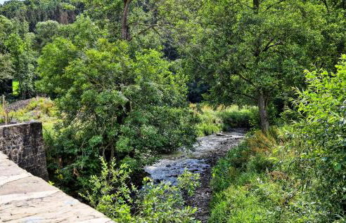 Admiral Vanessa - Foto 40