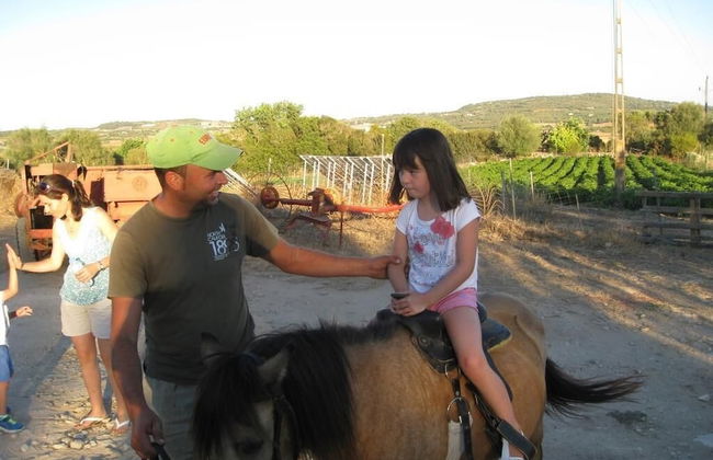 Finca Sa Cova Vella - Photo 45