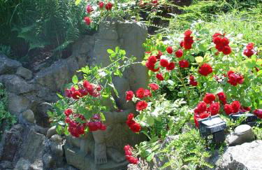 Wohnung am Schwimmteich - Foto 9