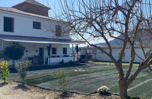 Hacienda Los Olivos Alora Grupos grandes Fiestas Pista de padel - Foto 40