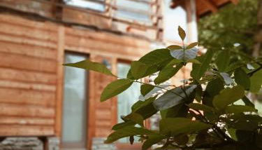 Baita del noce - Foto 5