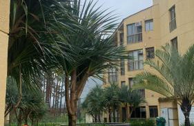 Loft Melhor do Sahy - Magaratiba RJ - Foto 7