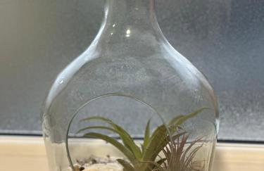 Holly Tree Cottage in Glastonbury - Foto 18