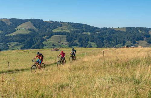 Ferienwohnung Alpinstar - inklusive Oberstaufen Plus - Photo 15