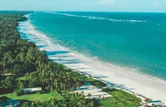 Micmoll Paradise - Photo 22