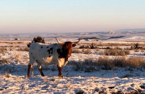 Cozy Cottage Rental for Six on a Working Ranch in Crawford, Nebraska - Foto 36