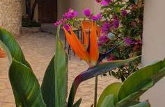 La Vista Secreta - Foto 17