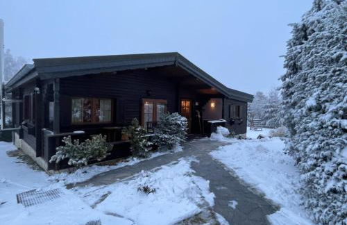 Holzhaus Junge in the Harz - Foto 10