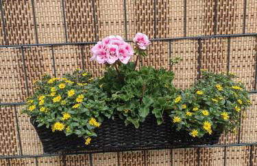 Ferienwohnung Blumenparadies - Foto 27