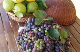 Stefania houses - Foto 32