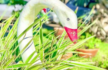 Apê Aconchegante I Wi-Fi e A/C - Foto 32