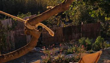 House With Pergola And Stunning Sunset On Elba - Foto 3