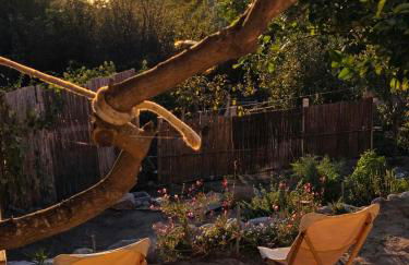 House With Pergola And Stunning Sunset On Elba - Foto 3