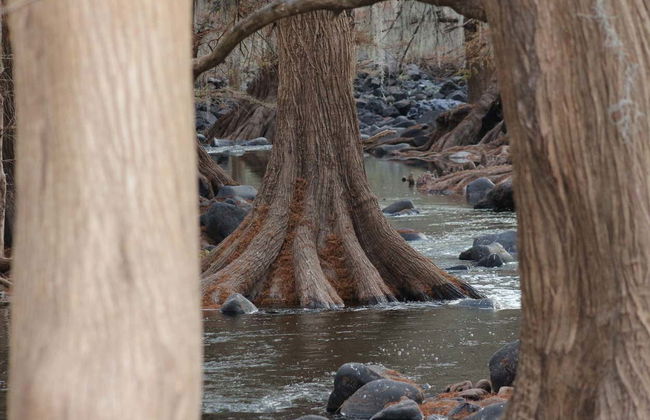 Excursión a la Sierra de Órganos y Nombre de Dios - Foto 2