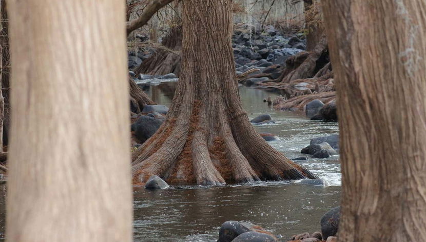 Profitez de la nature de la région