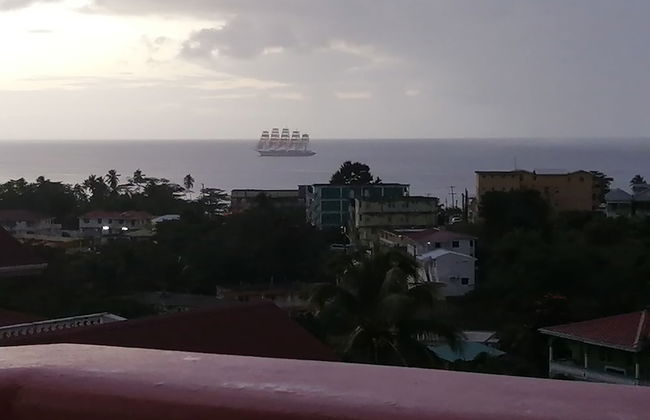 Louislyn Apartments - Photo 42