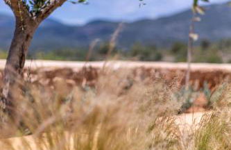 Lakkos Villas - Foto 27