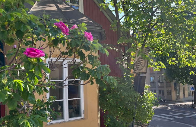 Oslo Oasis Apartment - Foto 11