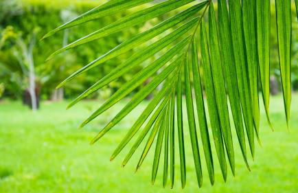 Quinta do Torcaz - Foto 97