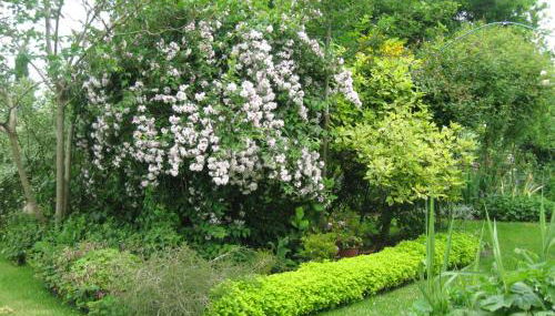 Gites du ROHERAN - Foto 2, Garden view