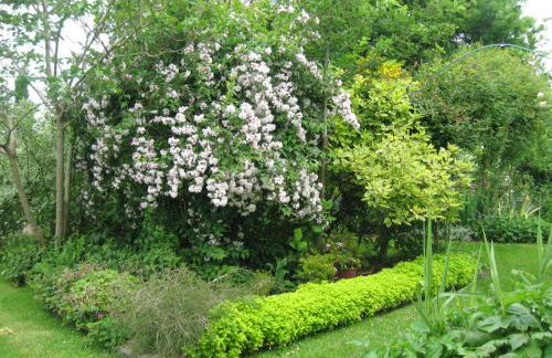 Gites du ROHERAN - Photo 2