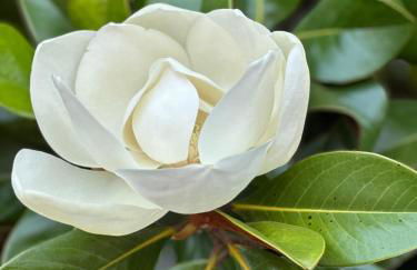 Casa Vacanze La Formica - Foto 40