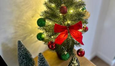 Le GreenStation-Gare-Hortillonnages-Centre Ville - Foto 2