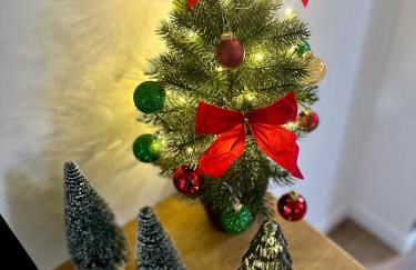 Le GreenStation-Gare-Hortillonnages-Centre Ville - Photo 2