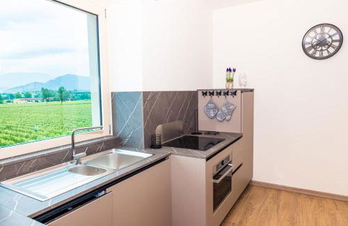 Casa Vacanza Dany in Franciacorta Vista Vigneti - Foto 21