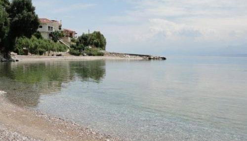 Heirlooms and Halos - Foto 2