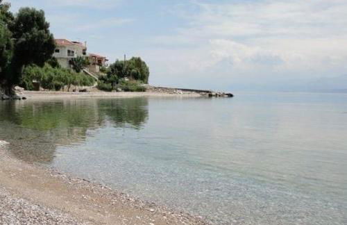 Heirlooms and Halos - Foto 2