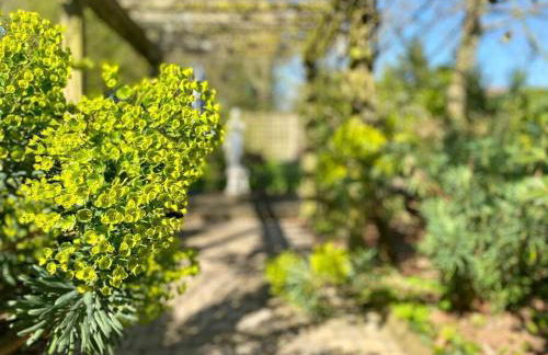 Prieuré de la Chesnaie x Melrose - Foto 30