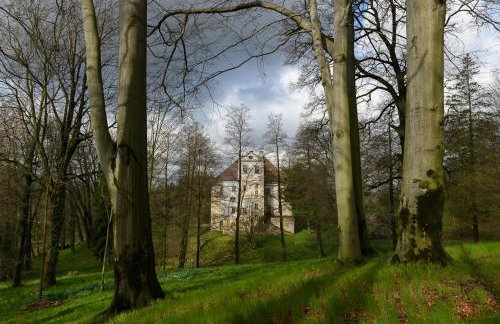 Pałac Rząsiny - Foto 18