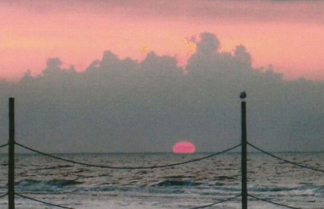 Near the Beach Modern Retreat - Foto 11