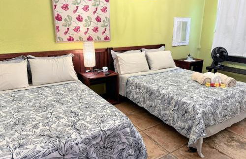 Casa de Campo a 11 km de Flecheiras - Foto 35