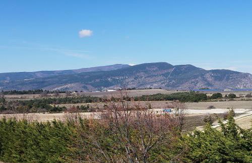 Chez Monique et Dédé - Foto 14