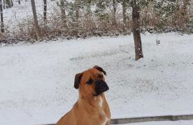 Agriturismo Borgo di Calmasino - Foto 34